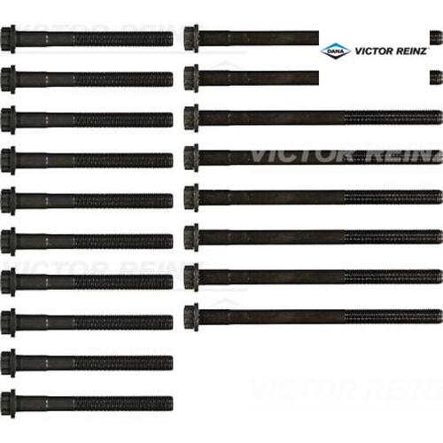 Cylinder head bolt set - head, victor