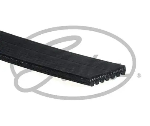 Multi ribbed belt - multi-ribbed, v-belt