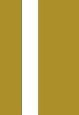 Twin 4mm 2mm flat gold - twin,