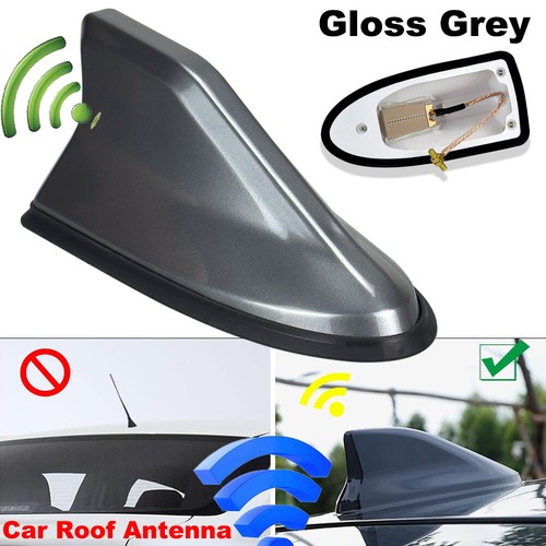 Gloss grey car - grey, shark